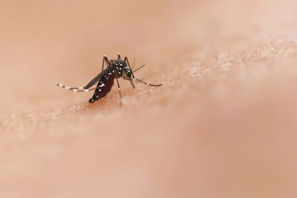 Dødelig virus sprer seg i USA: Helseadvarsel utstedt