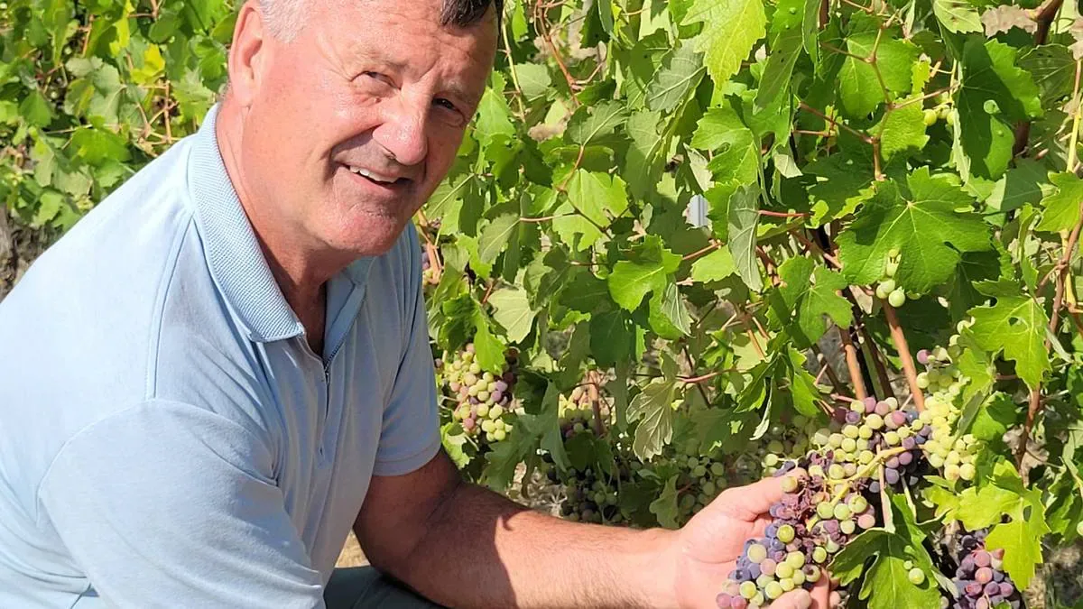 Norsk vinbonde i Italia kjemper mot tørke