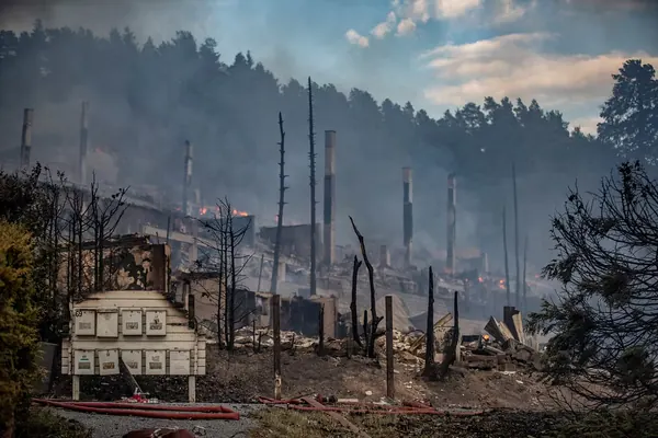 Brann i Krokstadelva: Ekspert peker på vind og tørke